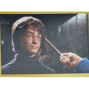 Panini Harry Potter Anthology Sticker Nr 076