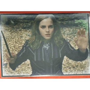 Panini Harry Potter Anthology Sticker Nr 077