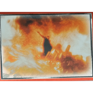 Panini Harry Potter Anthology Sticker Nr 081