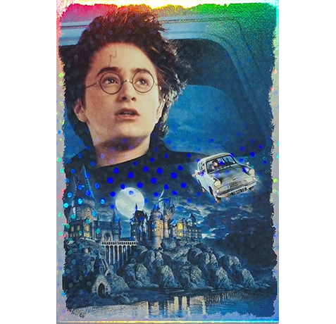 Panini Harry Potter Anthology Sticker LE Card Harry Ron & the flying car