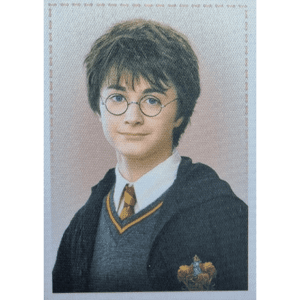Panini Harry Potter Anthology Sticker Nr Y1