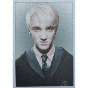 Panini Harry Potter Anthology Sticker Nr Y10
