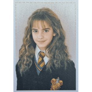 Panini Harry Potter Anthology Sticker Nr Y2