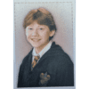 Panini Harry Potter Anthology Sticker Nr Y3