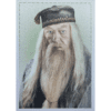 Panini Harry Potter Anthology Sticker Nr Y4