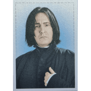 Panini Harry Potter Anthology Sticker Nr Y6