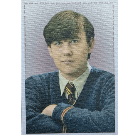 Panini Harry Potter Anthology Sticker Nr Y9