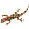 Blue Ocean Geckos Planet WOW - Gecko Nr 10 - Südlicher Flechtengecko