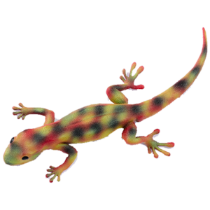Blue Ocean Geckos Planet WOW - Gecko Nr 10 - Südlicher Flechtengecko