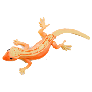 Blue Ocean Geckos Planet WOW - Gecko Nr 11 - Neukaledonischer Kornengecko - mit Farbwechsel