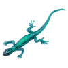 Blue Ocean Geckos Planet WOW - Gecko 18 - Türkisblauer Zwergtaggecko