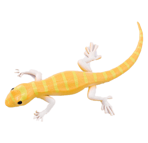Blue Ocean Geckos Planet WOW - Gecko Nr 19 - Vietnam Goldgecko