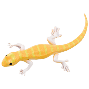 Blue Ocean Geckos Planet WOW - Gecko Nr 19 - Vietnam Goldgecko