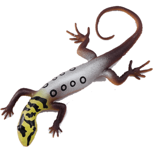 Blue Ocean Geckos Planet WOW - Gecko Nr 2 - Augenfleck Zwerggecko mit Farbwechsel