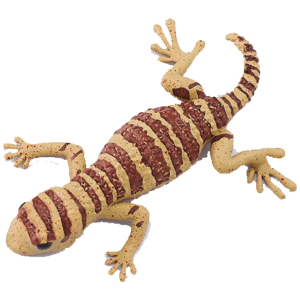 Blue Ocean Geckos Planet WOW - Gecko Nr 20 - Helmkopf-Gecko