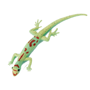 Blue Ocean Geckos Planet WOW - Gecko Nr 4 - Goldstaub Taggecko mit Metallic Effet