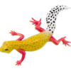 Blue Ocean Geckos Planet WOW - Gecko Nr 7 - Leopard- Gecko mit Farbwechsel