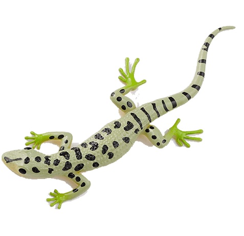 Blue Ocean Geckos Planet WOW - Gecko Nr 8 - Mauergecko