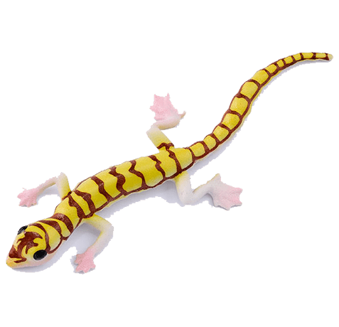 Blue Ocean Geckos Planet WOW - Gecko Nr 9 - Namibgecko - leutet im Dunkeln