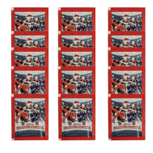 Topps NHL 2022/23 Hockey Sticker - 15x Stickertüten