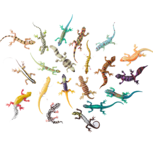 Blue Ocean Geckos Planet WOW - alle 20 verschiedenen Geckos