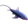 DeAgostini Super Animals Sharks Edition - 1x Alopias Pelagicus