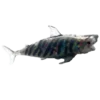 DeAgostini Super Animals Sharks Edition - 1x Sammelfigur Galeoverdo Cuvier "Tigerhai"
