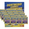 Panini Dortmund sammelt Dortmund Sticker - 1x Stickeralbum + 20x Stickertüten
