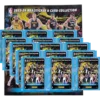 Panini NBA Saison 2023-24 Sticker - 1x Sammelalbum + 15x Sammeltüten