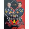 Turbo Attax 2021 Nr 019 Red Bull Racing