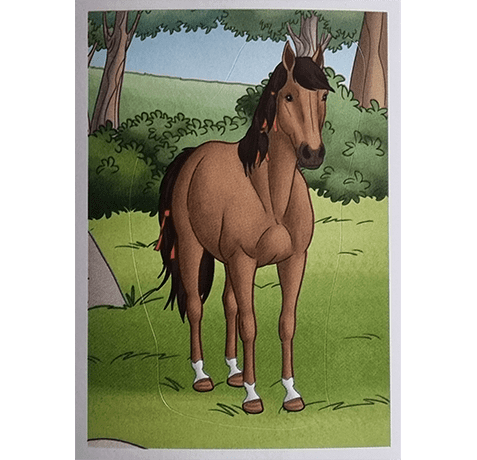 Horse Club Lieblingspferde Sticker - Nr 001