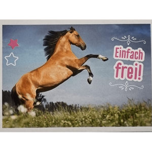 Horse Club Lieblingspferde Sticker - Nr 100