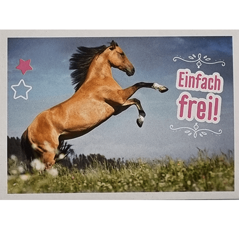 Horse Club Lieblingspferde Sticker - Nr 100