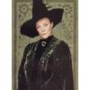 Panini Harry Potter Evolution Trading Cards Nr 106 Minerva McGonagall