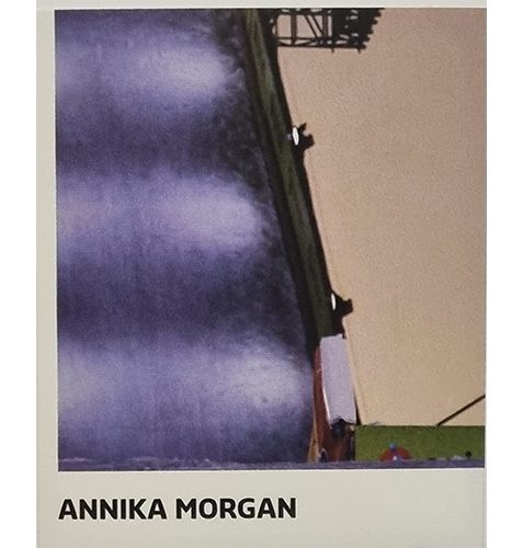 Panini Winterspiele 2022 Peking Sticker - Nr 106 Annika Morgan