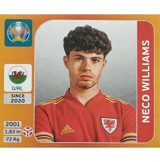 Panini EURO 2020 Sticker Nr 107 Neco Williams