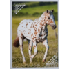 Horse Club Lieblingspferde Sticker - Nr 108