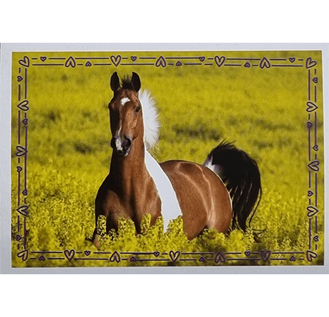 Horse Club Lieblingspferde Sticker - Nr 109