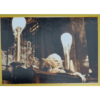 Panini Harry Potter Anthology Sticker Nr 011