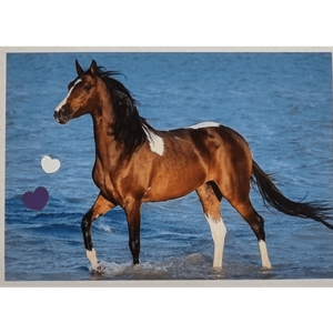 Horse Club Lieblingspferde Sticker - Nr 110