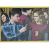 Panini Harry Potter Anthology Sticker Nr 113