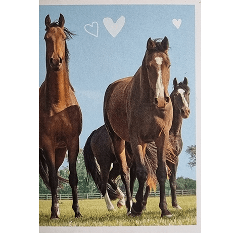 Horse Club Lieblingspferde Sticker - Nr 118