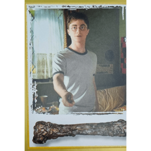 Panini Harry Potter Anthology Sticker Nr 119