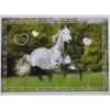 Horse Club Lieblingspferde Sticker - Nr 120