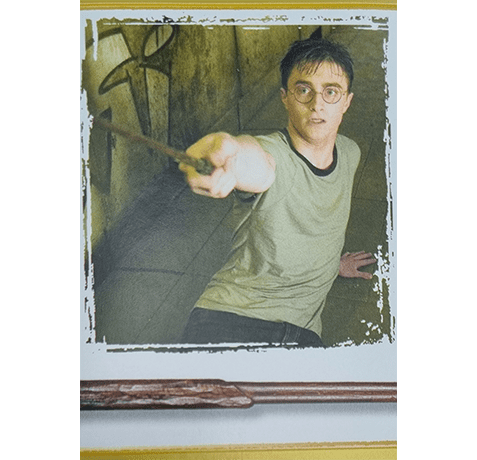 Panini Harry Potter Anthology Sticker Nr 120