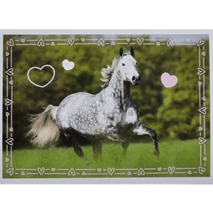 Horse Club Lieblingspferde Sticker - Nr 120