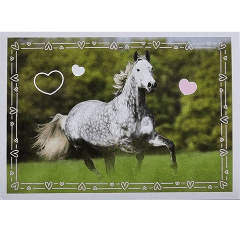 Horse Club Lieblingspferde Sticker - Nr 120