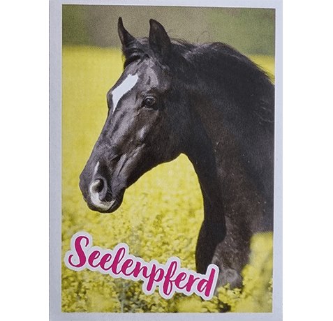 Horse Club Lieblingspferde Sticker - Nr 122