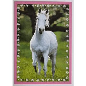 Horse Club Lieblingspferde Sticker - Nr 129