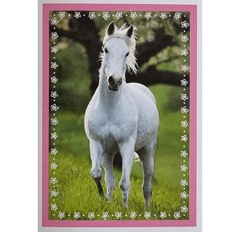 Horse Club Lieblingspferde Sticker - Nr 129